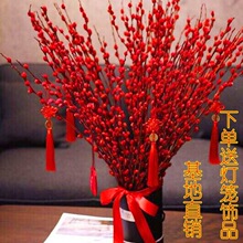 银柳干花真花鲜枝水培植物红色银柳年宵花卉福桶客厅室内装饰