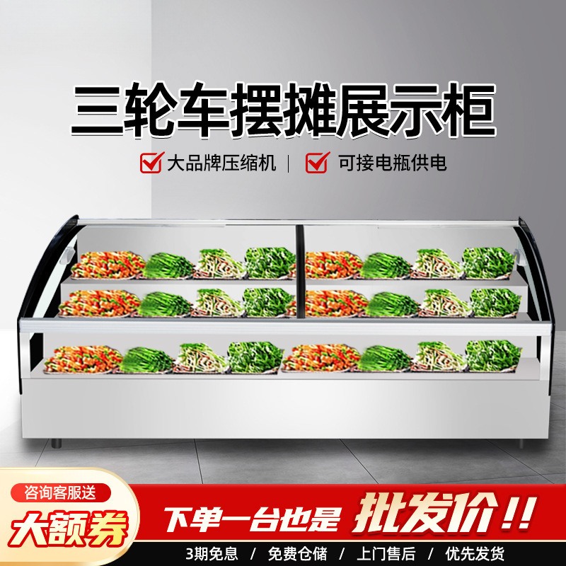 台式阶梯展示柜冰台三轮车摆摊冷藏展示柜冰箱柜海鲜烧烤串串冰柜