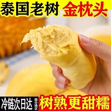 ̩�������^��ɏ��A�����������ɏ�ǸɈ�؈ɽ��Դ�^���S�������l