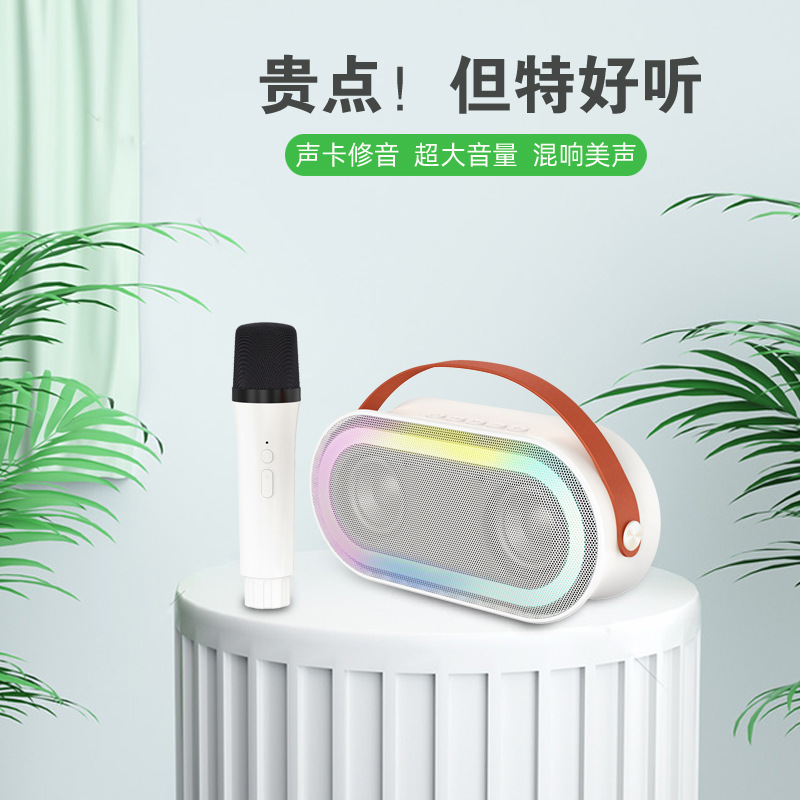 Home P6 portable Bluetooth speaker mobile phone microphone set children's home ktv portable karaoke audio