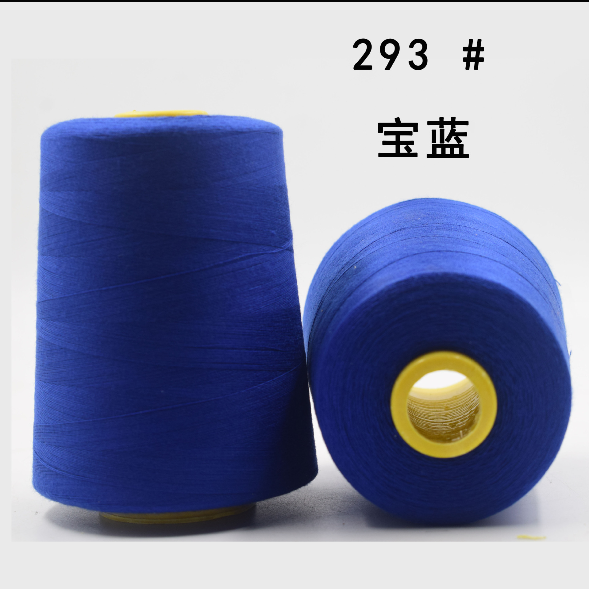 293 # 사파이어 블루 8000 코드 220g