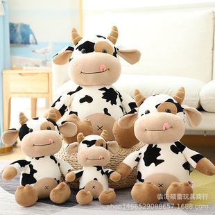 �ɐ���ţ����Сţë�q�����Фţ��ż��Y����������Ů�����նY��