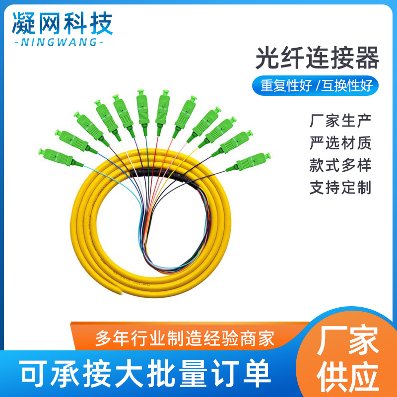 12芯SC/APC  FC/APC  1.5米单模束状尾纤光缆跳线尾纤电信级