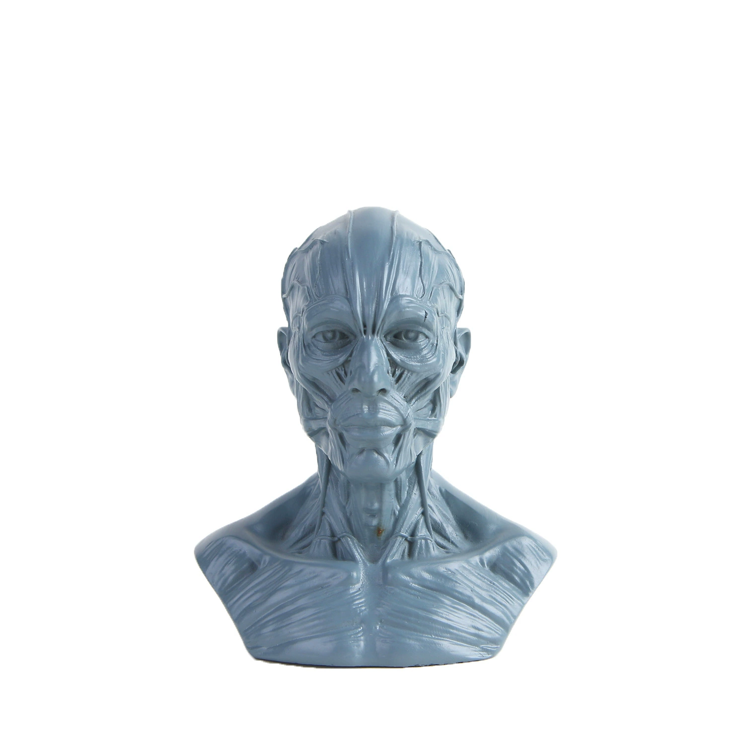 Art Painting Sketch Material Teaching Medicine Moom Human Model Reference Resin Crafts Human Model