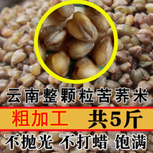 整顆粒 雲南黑苦蕎米麥500g×5生黑苦蕎麥米散裝粗糧雜糧胚芽蕎米