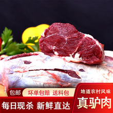 �H�����r�H��F�����r��Ƥ���H���r��ɢ�B��հ��]�ӱ������H��