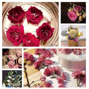 Flowers desiccant particles silica gel sand flower dried flower making plant material reuse source factory delivery