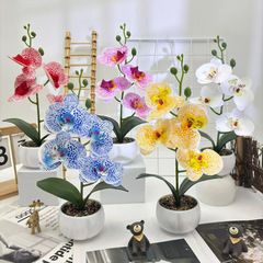 四花胡蝶蘭雨花石盆栽3dプリントフィルム造花盆栽置物オフィスデスクトップ装飾造花