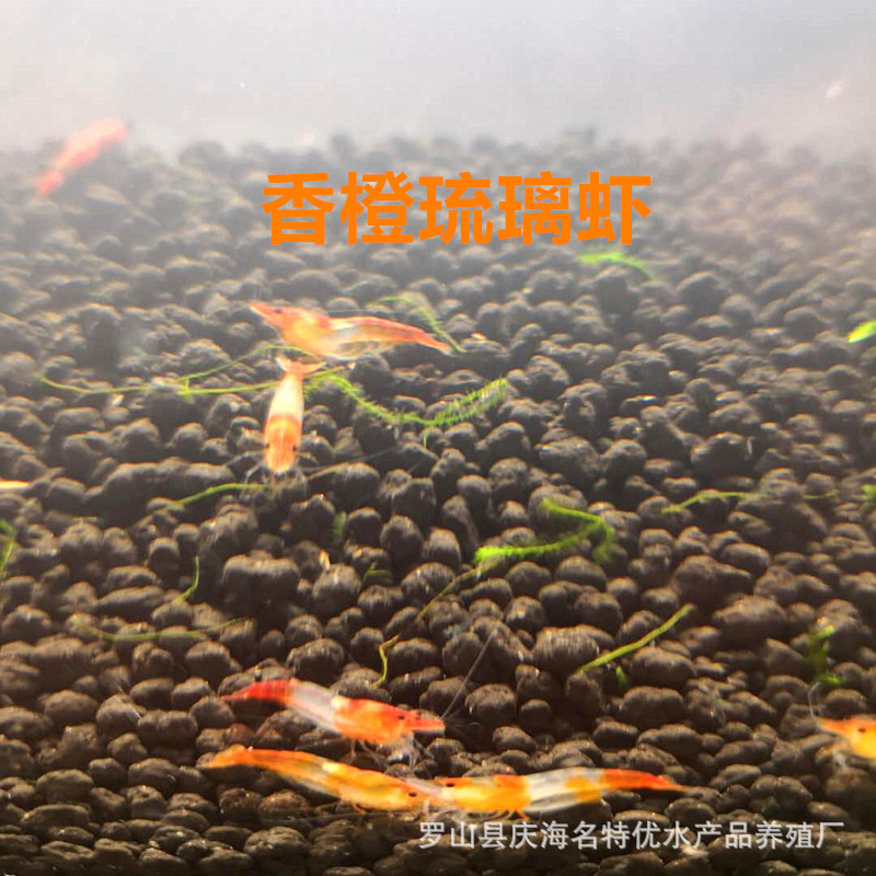 TB2c6qKqYZnBKNjSZFrXXaRLFXa_!!