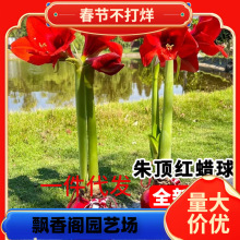 һ�����l��피tϞ���M���ذ�N���ش����҃��̨����ֲ���������b