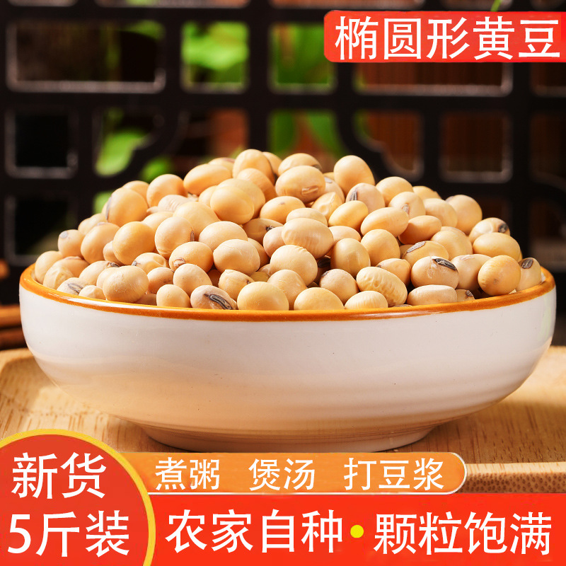 Selected New Goods: 2.5kg Large Oval Yellow Beans, Suitable for Cooking Porridge, Making Soup, and Making Soy Milk, Whole Grains, Free Shipping