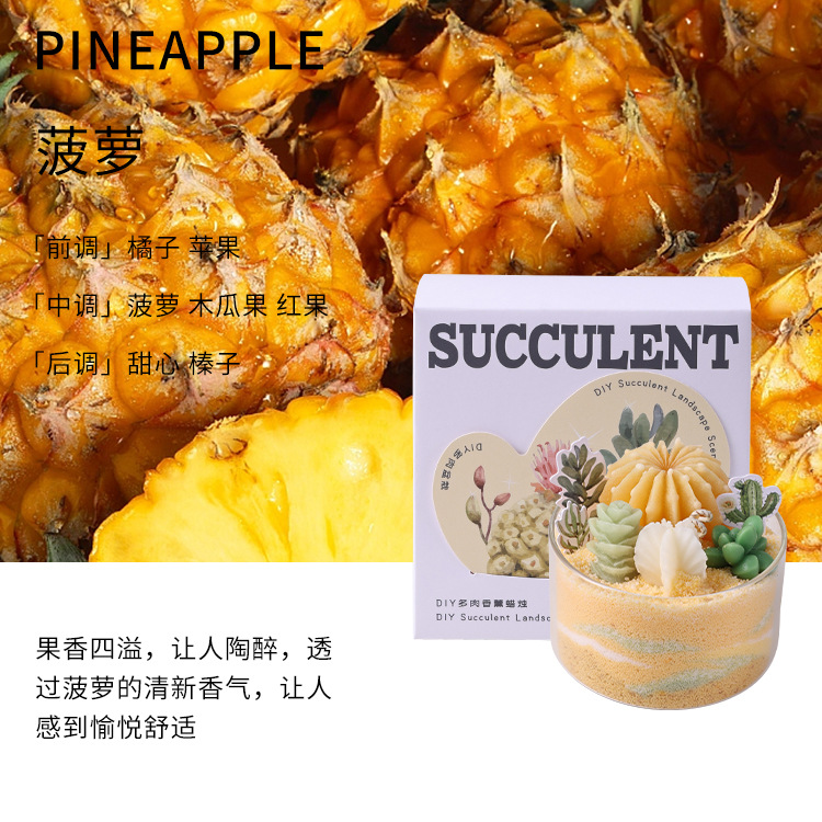 Serie de Velas Aromáticas de Suculentas DIY, Divertido Salón de Manualidades, Recuerdo con Forma de Cactus, Venta al por Mayor