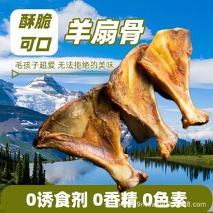 ���󠔹���ĥ��������������ȹǽ�ë�����^ĥ�����»�����С����