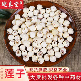 中药材批发供应湖南无芯莲子白莲子建宁莲子莲须莲子莲芯建宁莲子