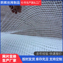 乳液金锅工地网格布墙面挂网内墙自粘布软钢筋耐碱玻纤工地网格布