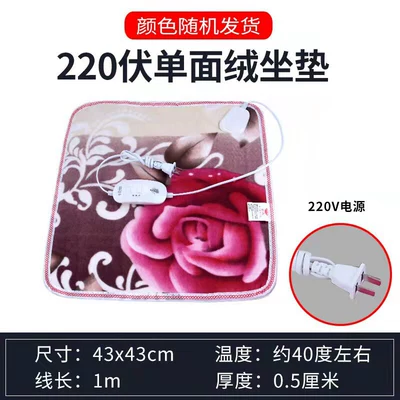 Winter Truck Electric Blanket 12V | Multi-function pad - household-seat-cushion-220v-43-43cm