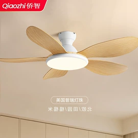 吸顶灯;吊灯;风扇灯