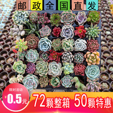 ֲ¿Mһ50wײʹwGֲܺ