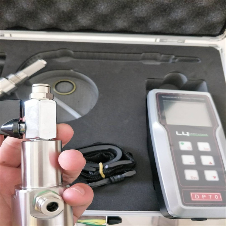 瑞士罗卓尼克 RDP70B手持式露点仪温湿度仪