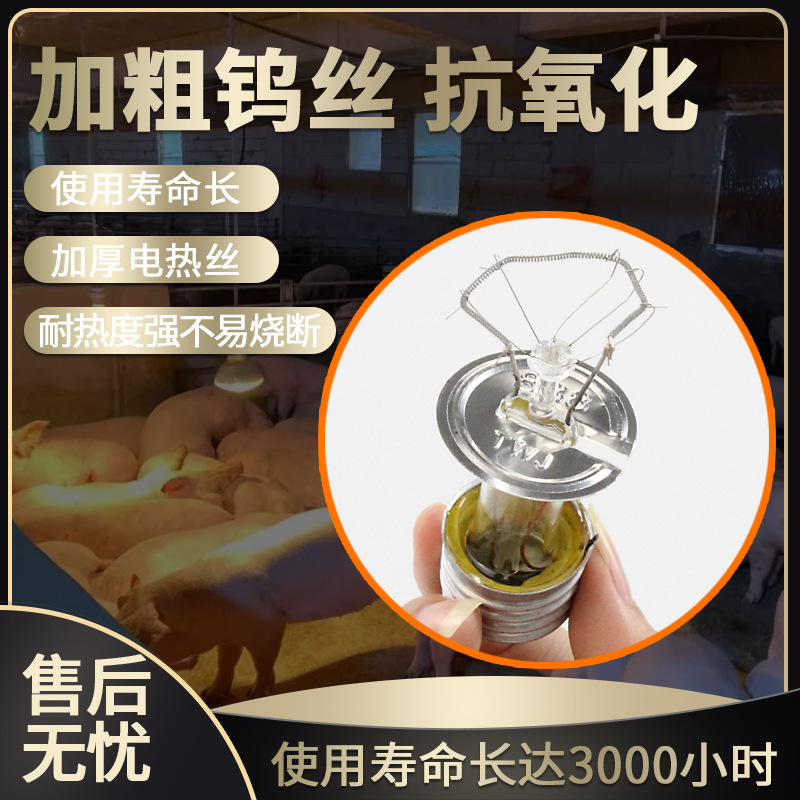 Bombilla de aislamiento de cerdo bombilla de calefacción cría lámpara de calefacción pollo pato ganso calefacción aislamiento lámpara para hornear para la cría de ganado