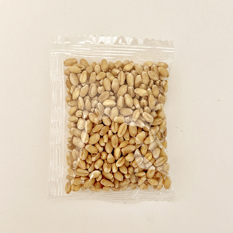 ZZ001 캣그라스 씨앗 20g