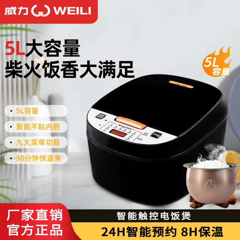 Cross-border Power Multifunctional Electric Rice Cooker Health Preservation Liner Chai Hotpot 5-litre Large Capacity Fast Electric Rice Cooker Net Red