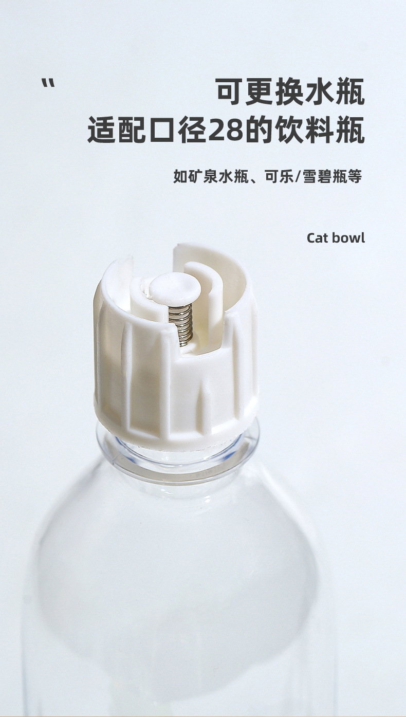 猫碗_10.jpg