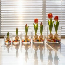 ͸�������L���λ���ˮ��Gֲ��������⻨ƿ���κ��ӷ²���������