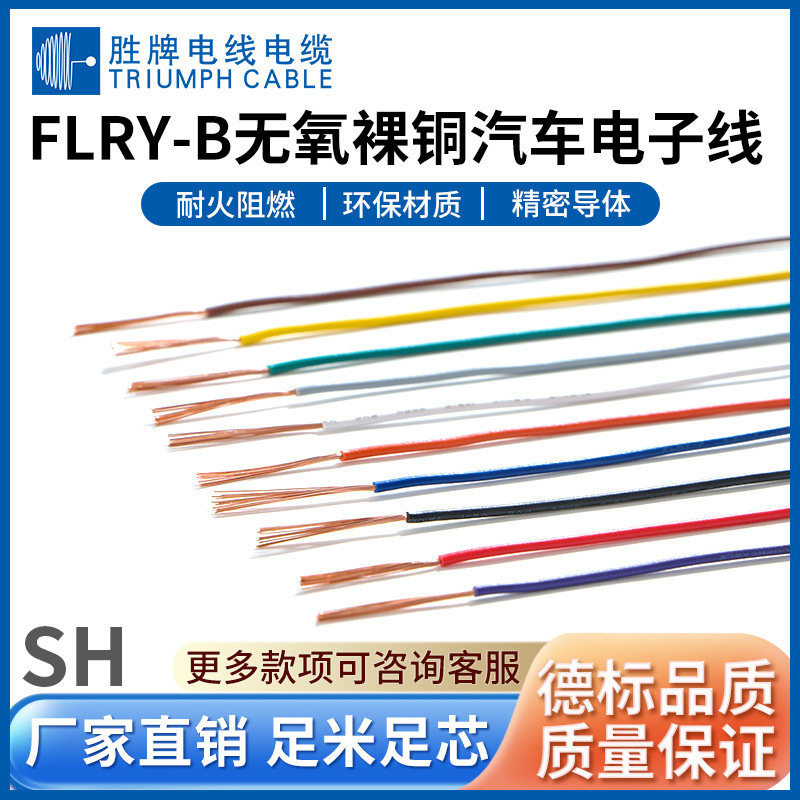 胜牌直供 德标汽车线FLRY-B 300V线材汽车电源线 汽车改装连接线