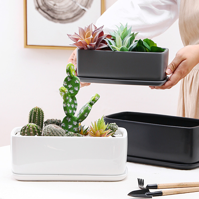 Ceramic Flower Pot Rectangular 2026 New Model Office Desktop Succulent Cactus with Tray Simple Planter Container
