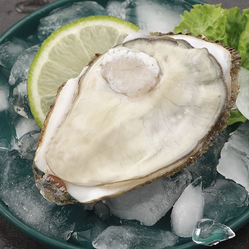 2500g 순중량 2.5kg 무료 3종세트 - 3XL 미디엄 굴 [핫셀링 모델] 총 20~28개