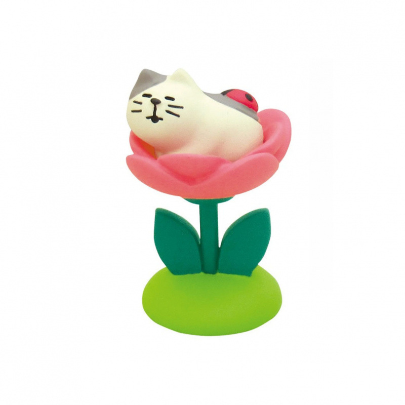 무당벌레 새끼 고양이 꽃