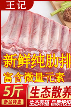 r⼃iСŹiiСi^ٰbGɫʳƷ