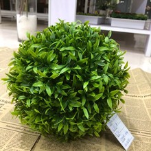 ����Gֲ �lؔ�������ֲ���� ����̈��bA�����c�����b�Ʒ