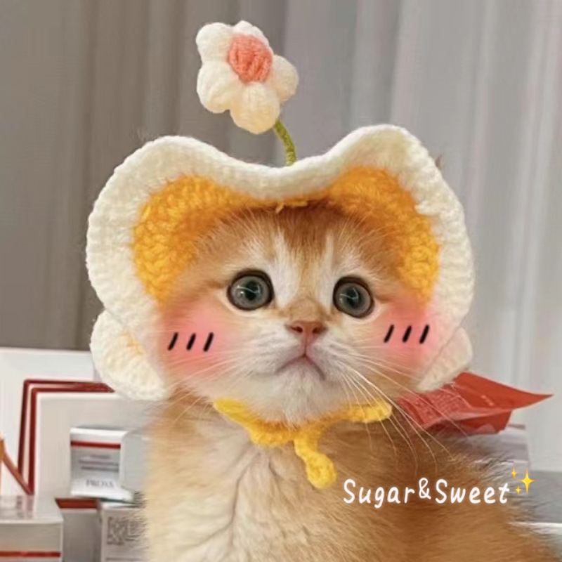 春田花花宠物猫咪帽子手工编织头套狗狗头饰英短猫咪装饰品批发|undefined