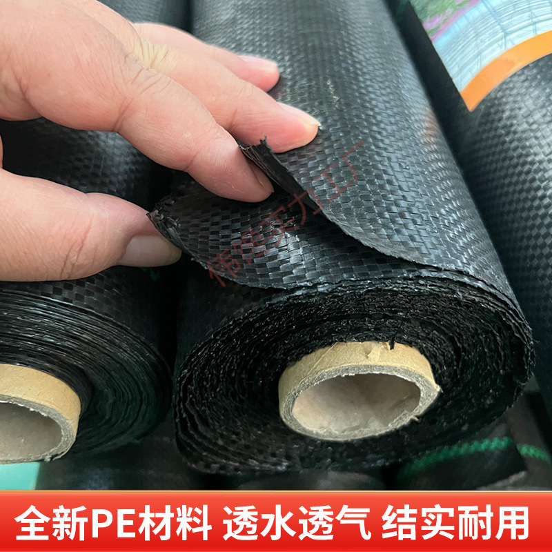 防草布果园抗老化园艺地布果树透水遮草盖草布透气大棚