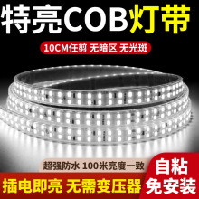 ��ճ220V����ܛ�􎧳���10cm���l�������b���չ���NƬled���l