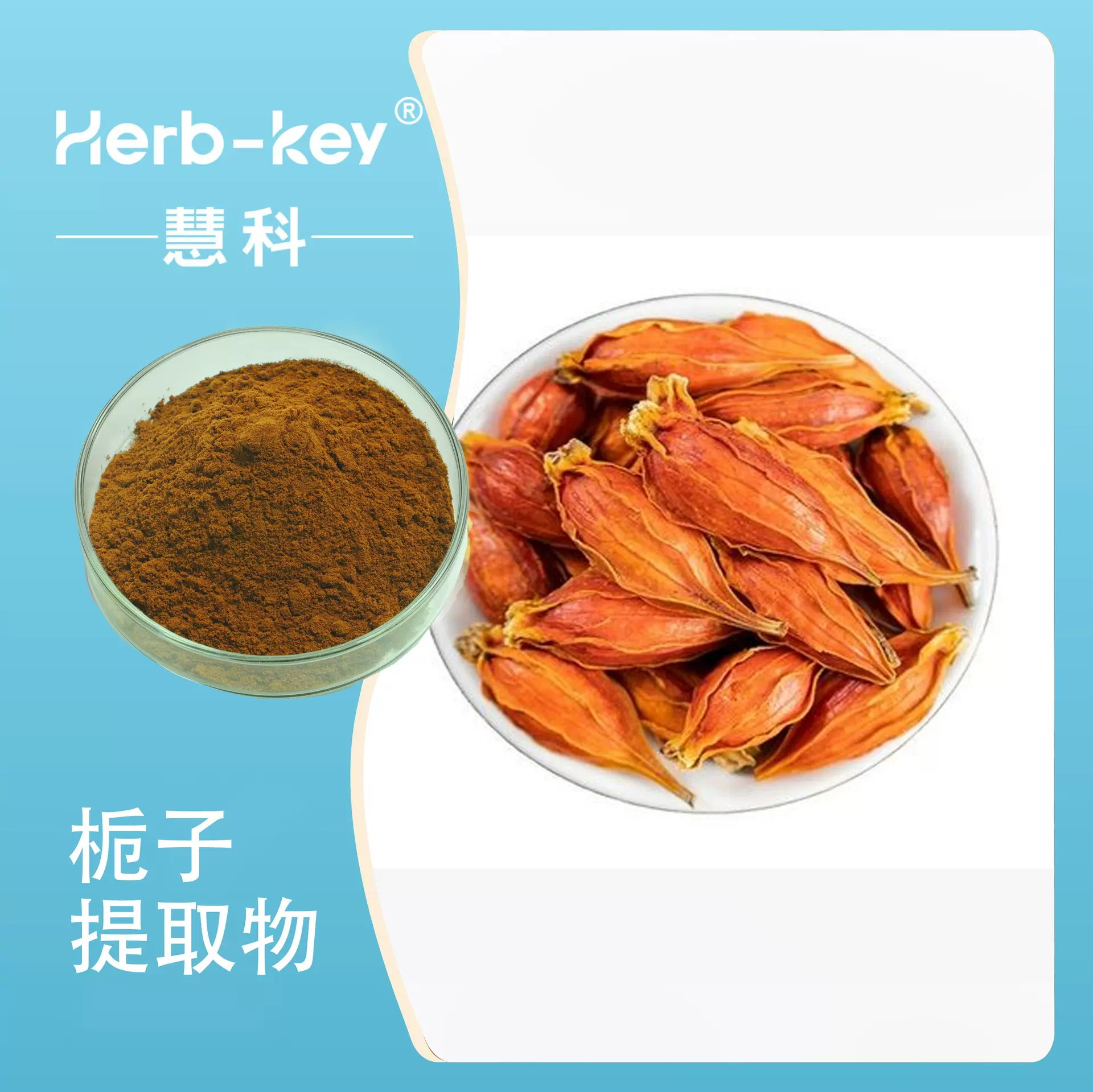 栀子提取物 10:1陕西慧科 食品原料现货供应量大从优  栀子粉