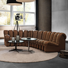 脊椎S形模块自由组合沙发De Sede DS600设计师别墅大户型蛇形沙发