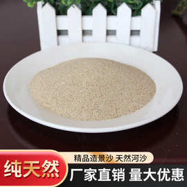 精品造景沙 天然河沙 污水处理  盆栽铺面 底沙 30-40目