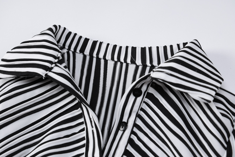Zebra Outfit