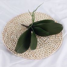 ���l�¿�����m�~�����~�� �廨��eva�ָк����m�~�ָк����m�~��