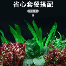 ֲ���ջ�ɽʯˮ��ˮֲ����ݾG��Ƽ�Gɽʯ�����~���~���B