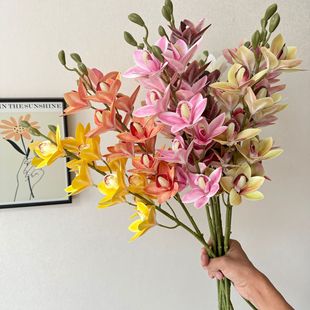 �¿�����֦ޥ�m���Ҿ��҃��b��ָ��^�z�ٻ��Ƶ�[�����lޥ�m��