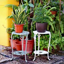 ��ʽ�͹��Fˇ�p���T�F���ܻ������f�G�}��������Լ�ͥԺ���@�b�