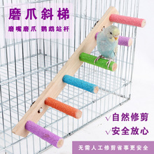 攀爬绳云梯千鸟笼配件虎皮鹦鹉玩具磨爪嘴牡丹小鸟互动爬梯秋木梯