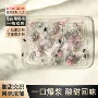 无核夹心代工果脯蜜饯