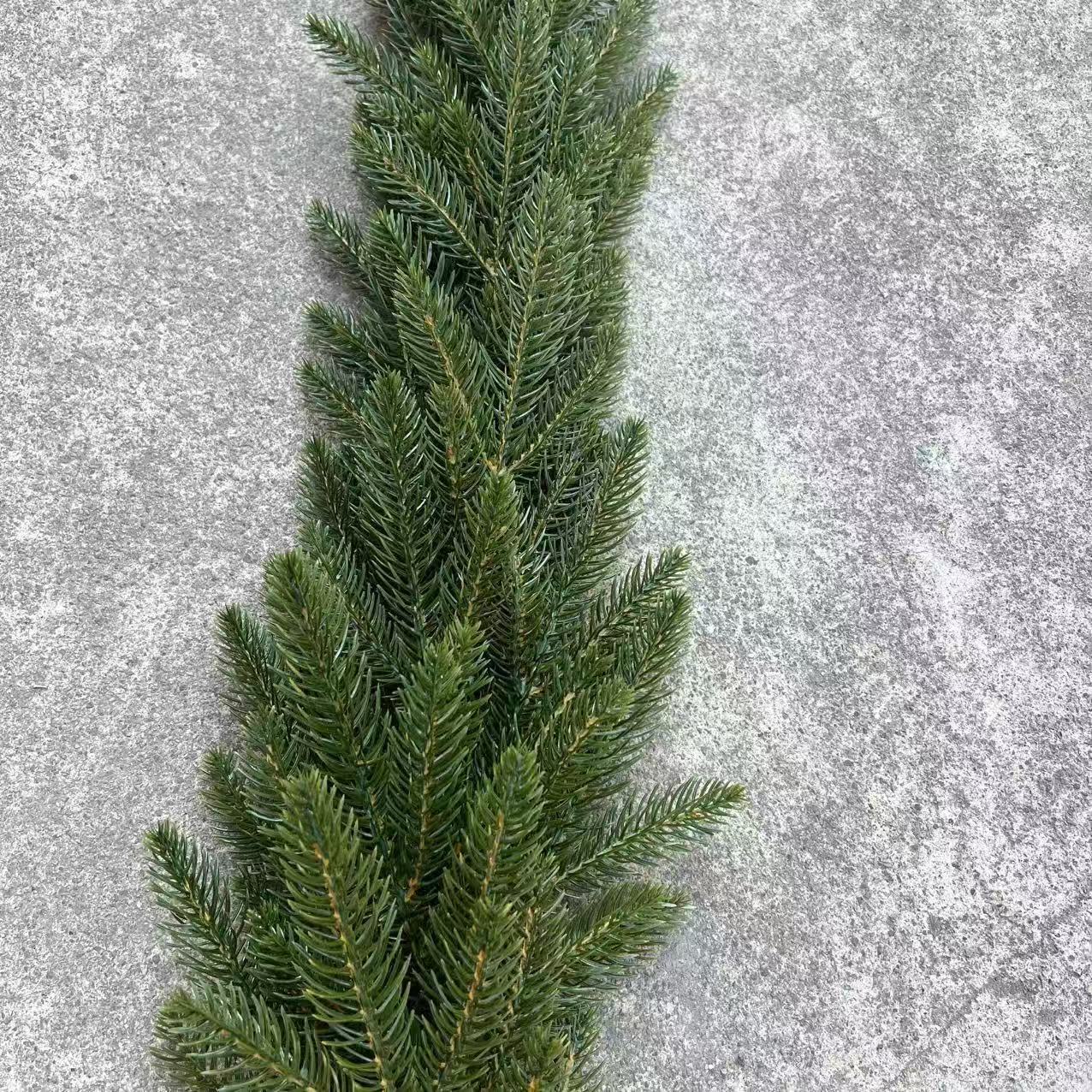 Amazon nuevo Norfolk pin vines explosivo decoraciones navideñas vines navideñas sensación guirlanda navideña