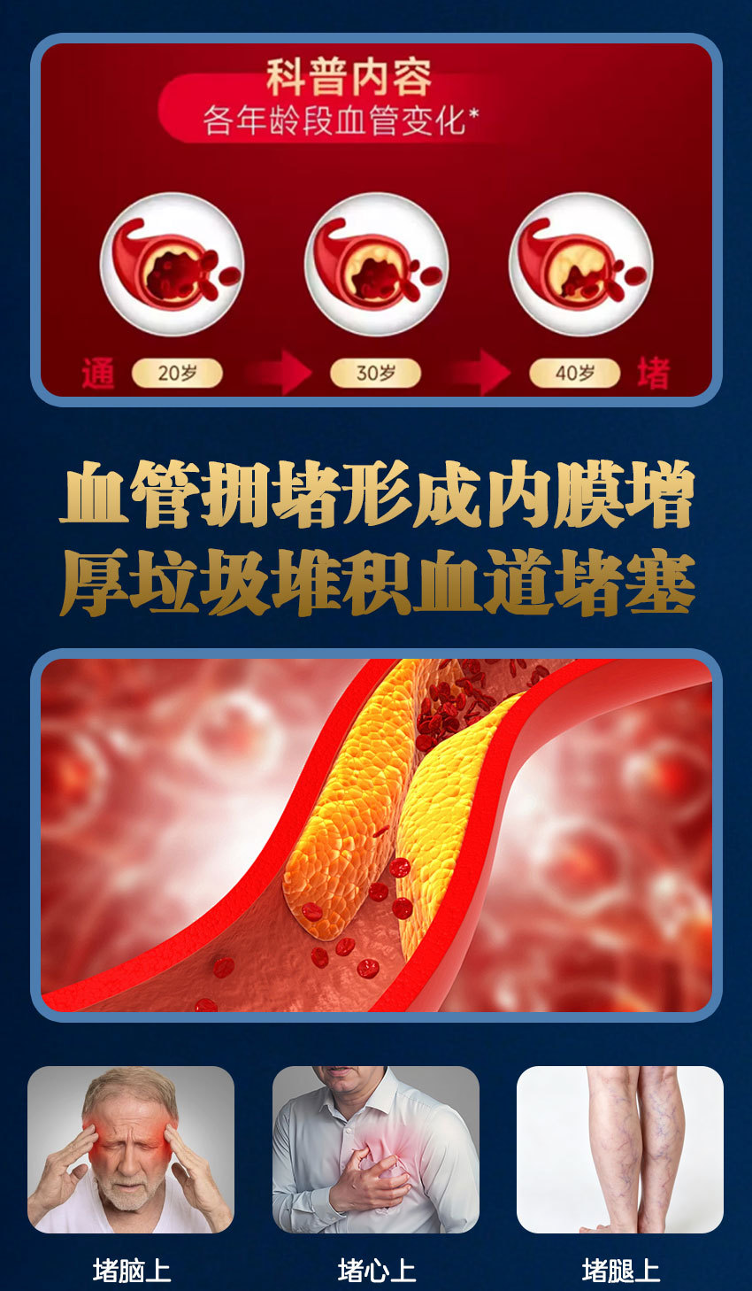 Earthworm Protein Ginseng Dried Ginger Honey Pills Di Long Dan 144g Daily Herbal Wellness Pills for Adults key features