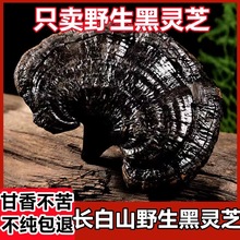 黑灵芝野生长白山500克灵芝切片林芝干货整朵正品泡酒灵芝养生茶
